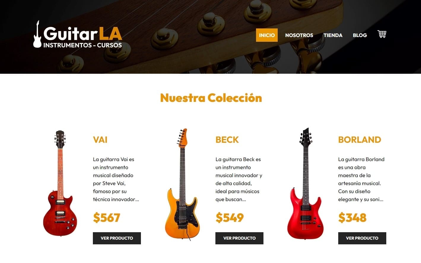 Desarrollador Web